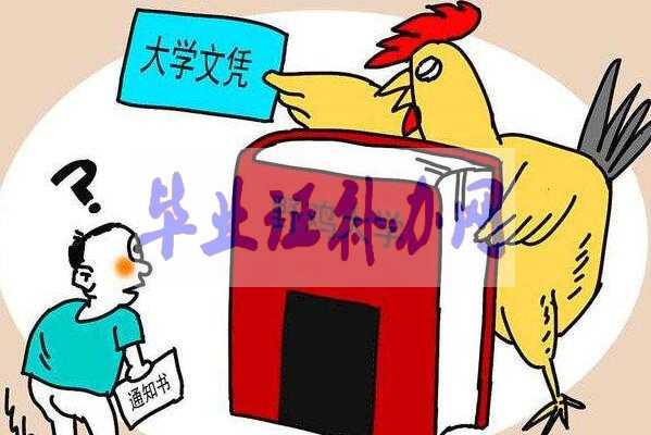 讀了三年的大學 沒想到畢業證竟是假的