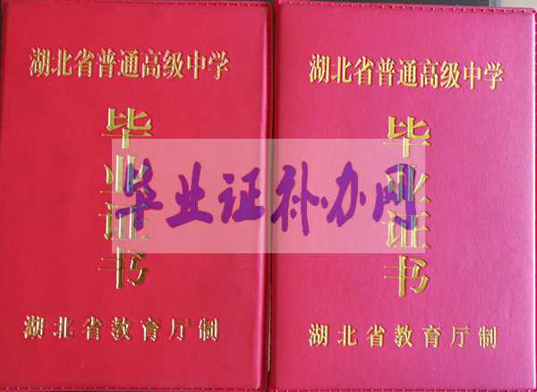 1996年湖北省中專畢業證樣本圖片模板