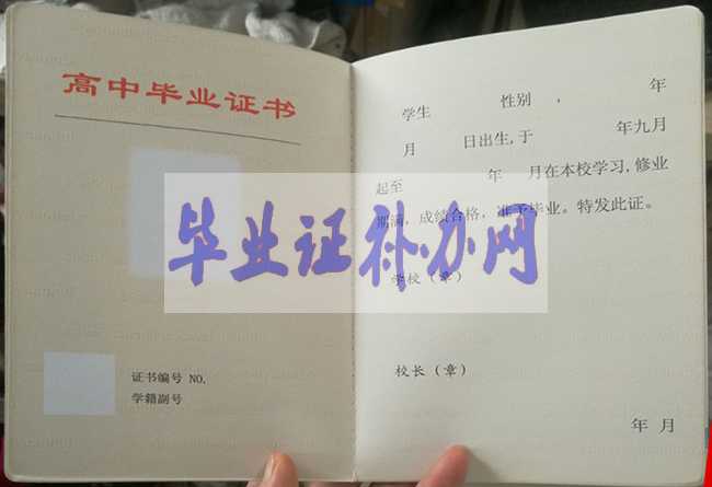 上海市高中畢業(yè)證樣本圖片模板