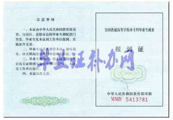 就業報到證樣本圖片模板